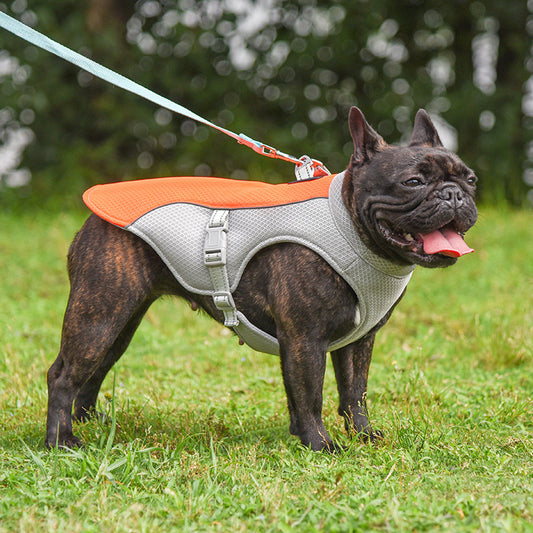 Cooling Vest For Dogs - Breathable, Summer-Ready & Adjustable Fit