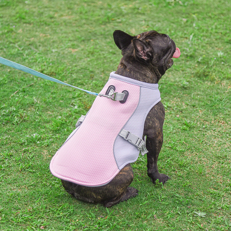 Cooling Vest For Dogs - Breathable, Summer-Ready & Adjustable Fit