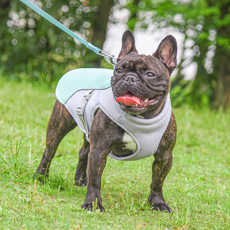 Cooling Vest For Dogs - Breathable, Summer-Ready & Adjustable Fit